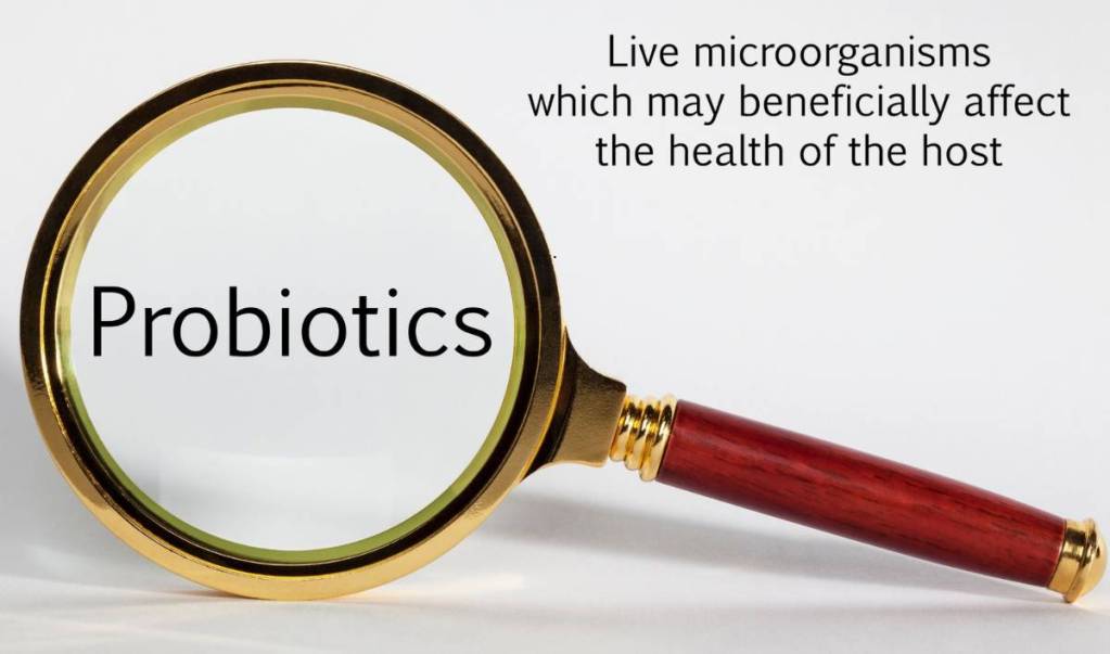 Bifidobacterium lactis
